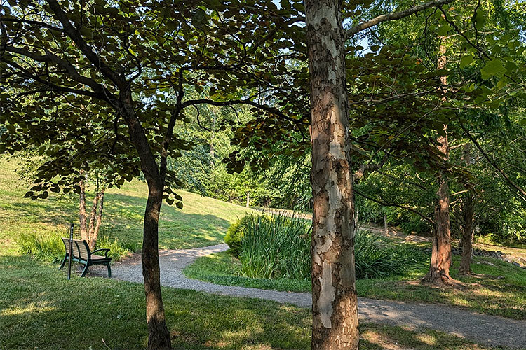 Campus 13