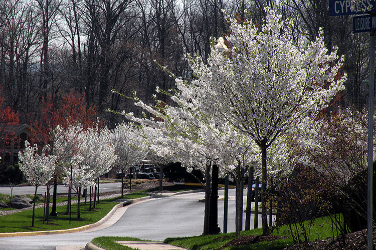 Campus 6